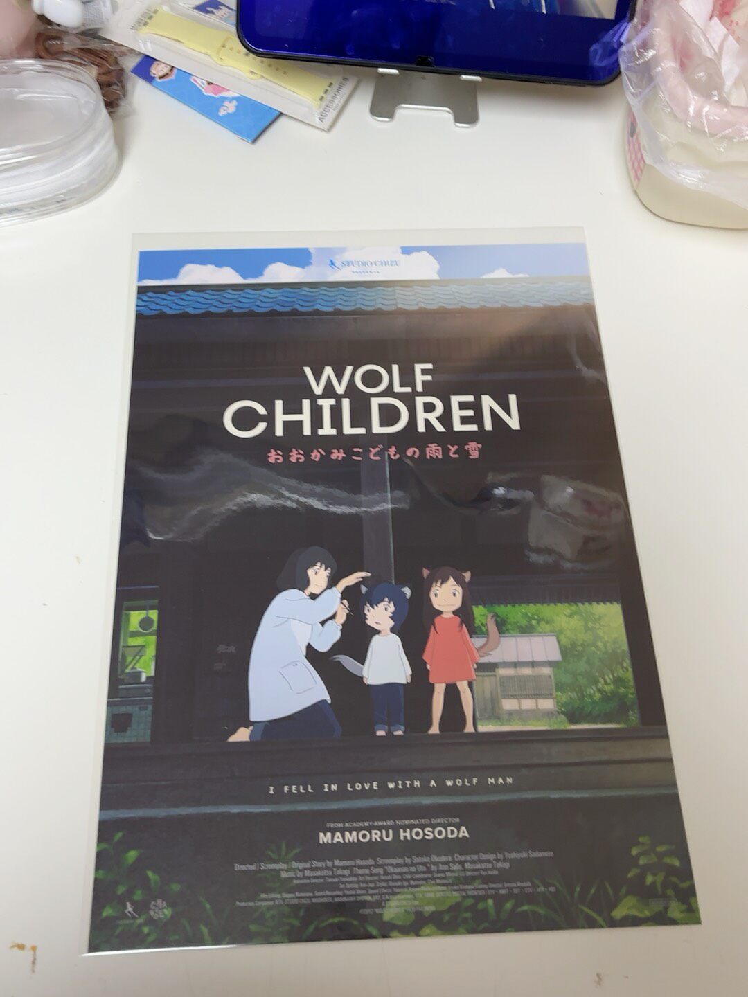 Movie: Wolf Children: Rain and Snow